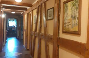 Agroturystyka Łysa Góra - Foto 53