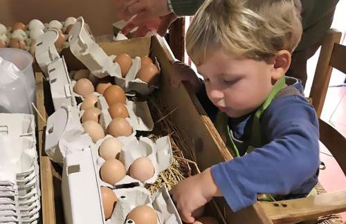 Fattoria di Maiano - Foto 76