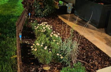 Daphne Experience - Home, Harmony and Garden - Foto 44