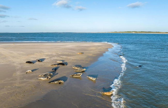 Spacious Holiday Home in Renesse near North Sea - Photo 28
