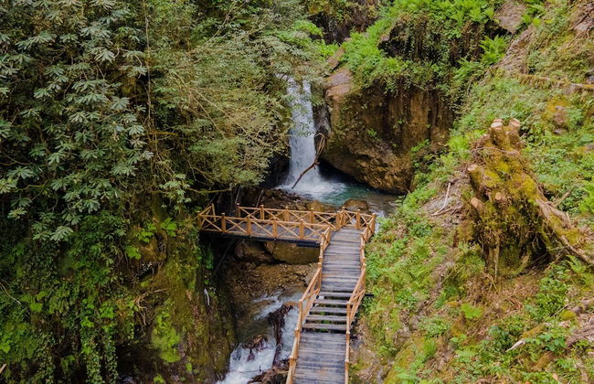 Safir Doğa Evleri - Photo 51