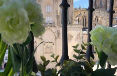 BELLA VISTA Catedral-Apartamentos Burgos Catedral - Foto 16