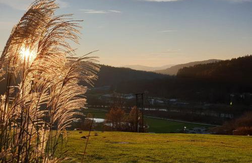 Willa VITA Muszyna - rodzinne apartamenty blisko natury i atrakcji - 15min pieszo do centrum - 15min autem do stoku - Foto 15