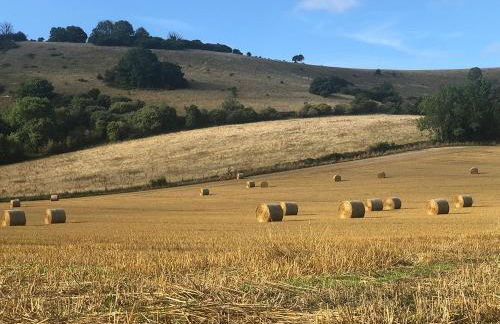Cosy annexe in the heart of the Sussex countryside - Foto 17