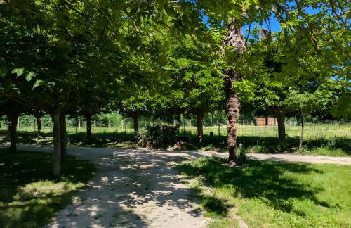 Ferme Pédagogique Bordeneuve - Foto 54