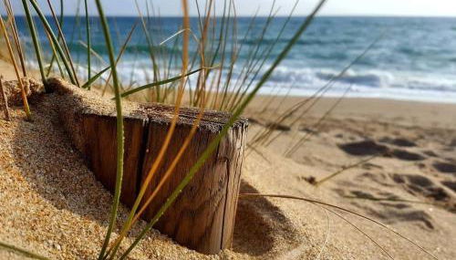 Nouveau - Maison en bord de mer avec jardin privatif - Foto 5
