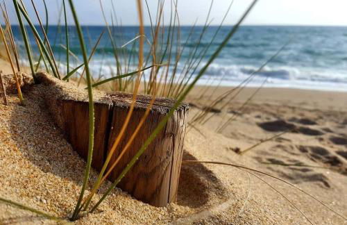 Nouveau - Maison en bord de mer avec jardin privatif - Foto 5