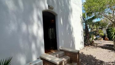 La Washingtonia - Foto 3