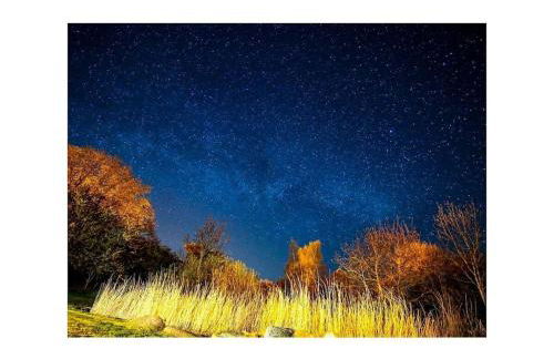 Dycke Haus 6 Comfortable holiday residence - Foto 39