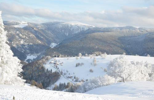 Sport Rees - Ferienwohnung Pia - Photo 7