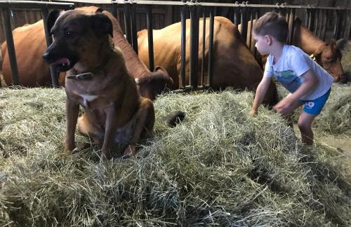 Ferienwohnung Rummelsmühle - Foto 27