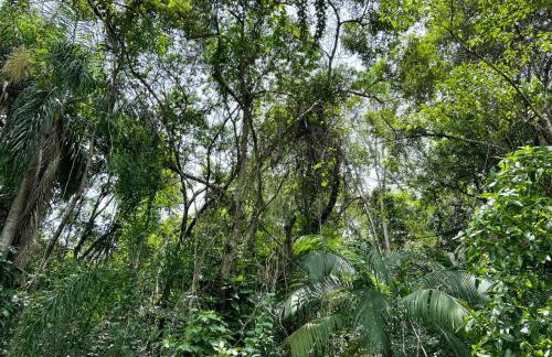 Casa Saíra - Photo 8