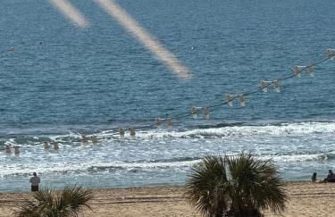 El Pato de Levante - Foto 8