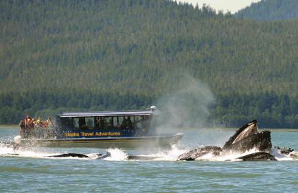Nugget Place-Includes three separate two bedroom units near Mendenhall Glacier-DISCOUNTS ON TOURS! - Foto 22