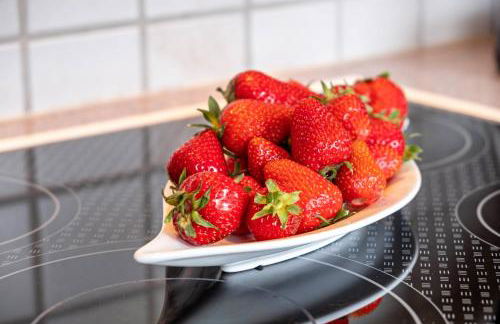 Schreinerhäusle nähe Titisee - Foto 73