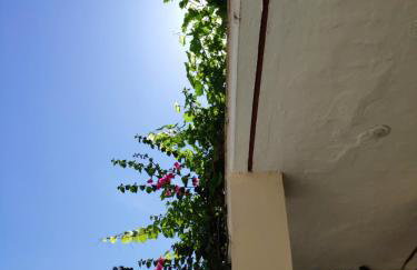 Anesis Village Studios and Apartments - Foto 17