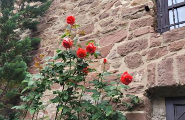 Gemütliche Wohnung in historischem Kulturdenkmal, 62qm - Photo 15
