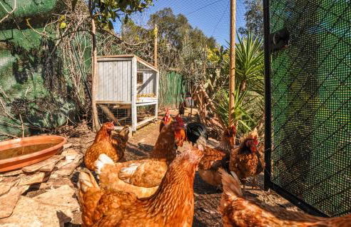 Belle Maison En Pleine Nature - Foto 28