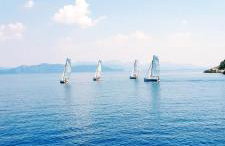 Apartman ELLA - Foto 50