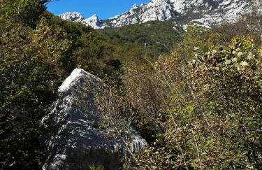 Apartment Mia - Photo 36