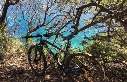 Shardana Blu - Net Zero Home Holiday - Foto 58