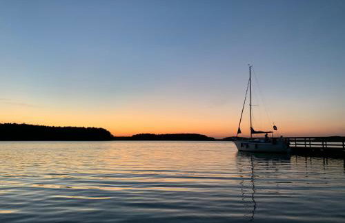 Forest Mood - Foto 69