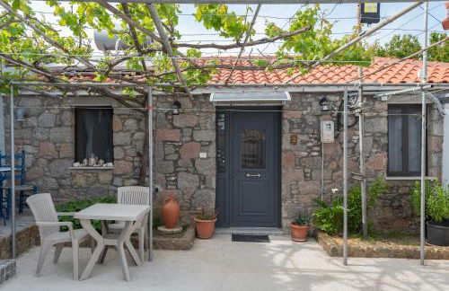 Ρίζες - Rizes - Foto 11