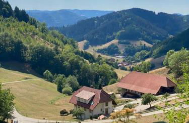 Ferienwohnung, Fischerbach im Kinzigtal - Foto 24