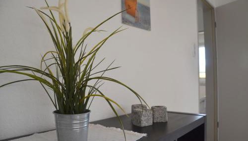 Bungalow Jule - Foto 5