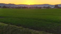 Ferienwohnung Colin im schönen Weserbergland Nähe Freizeitpark - Foto 2