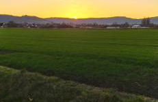 Ferienwohnung Colin im schönen Weserbergland Nähe Freizeitpark - Foto 2