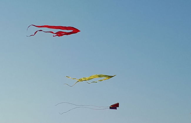 Apartments Fröhling - Foto 55