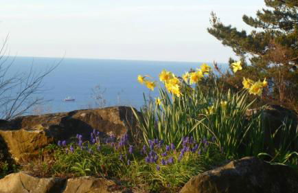 Apartamentos Mar y Mar Agroturismo - Foto 43