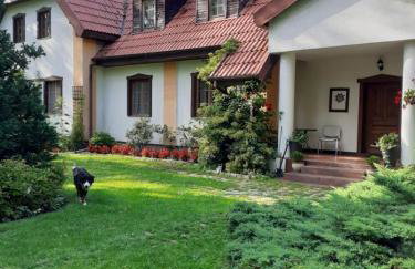 Villa Stare Osieczno - Foto 46