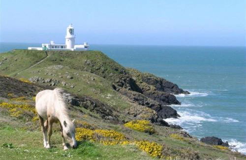 Panteurig Farmhouse - Photo 25