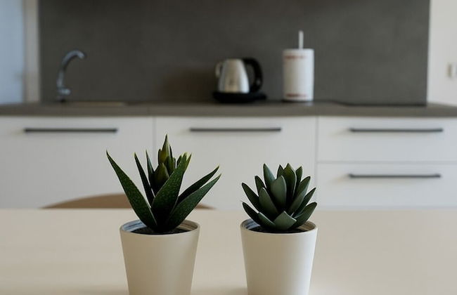 Marina di Petrolo Apartments - Photo 39