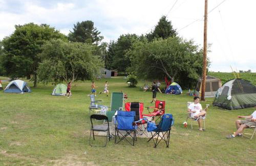 Silver Lake Cabin w/ Own Lake! (near Cooperstown) - Foto 62