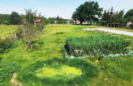 Spreewälder Schwalbenhof - Ferienhaus "Schwalbennest" - Foto 13