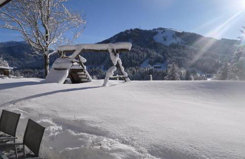 Alte Schmiede - Photo 10