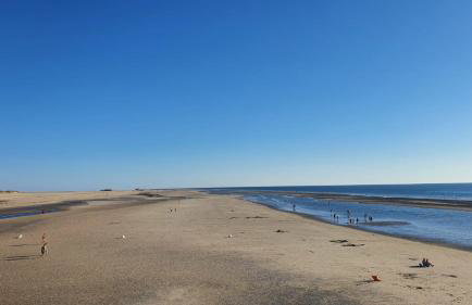 Sky & Sand Homes Nordsee by Nature I Boxspringbett, Terrasse, Zentral, Nah am Deich - Foto 12