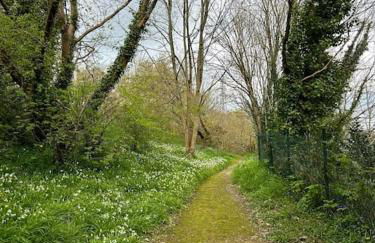 Studio Bois flotté Cherbourg Netflix Parking - Photo 17