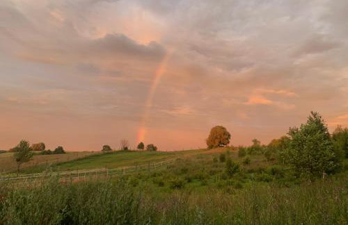 Rancho „Czajone na pigwowcu” - Foto 40