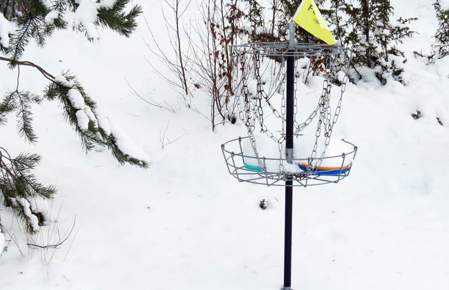 Joutsenlampi - Foto 23