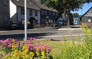 Haus Linde Frauenwald am Rennsteig - Foto 30