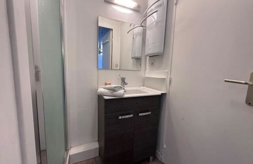 Les Lofts vue Port Guillaume - Foto 14