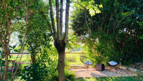 Pause Pedal Pyrénées - Foto 5