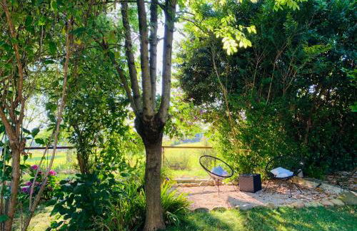 Pause Pedal Pyrénées - Foto 5