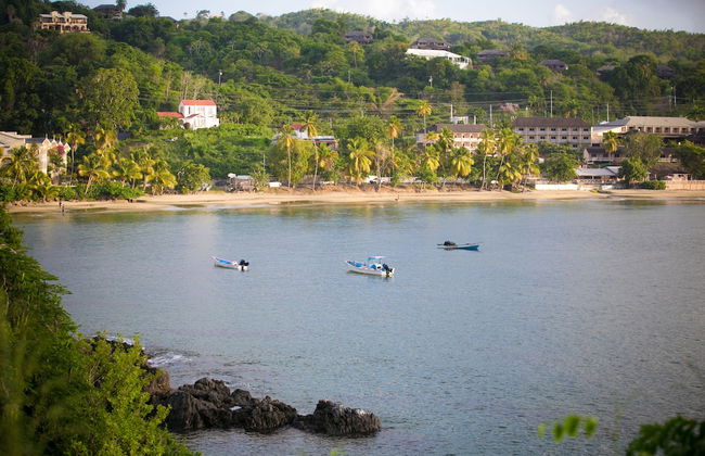 Robbie's Place Tobago - Foto 41