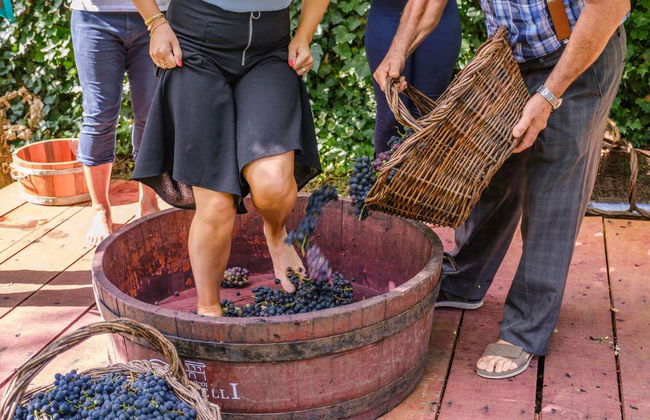 Visita di un'azienda vinicola con pranzo - Foto 3