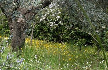 Casa Aldo nel cuore della Toscana - Foto 36